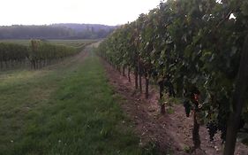 Château Le Noble winery near St Emilion